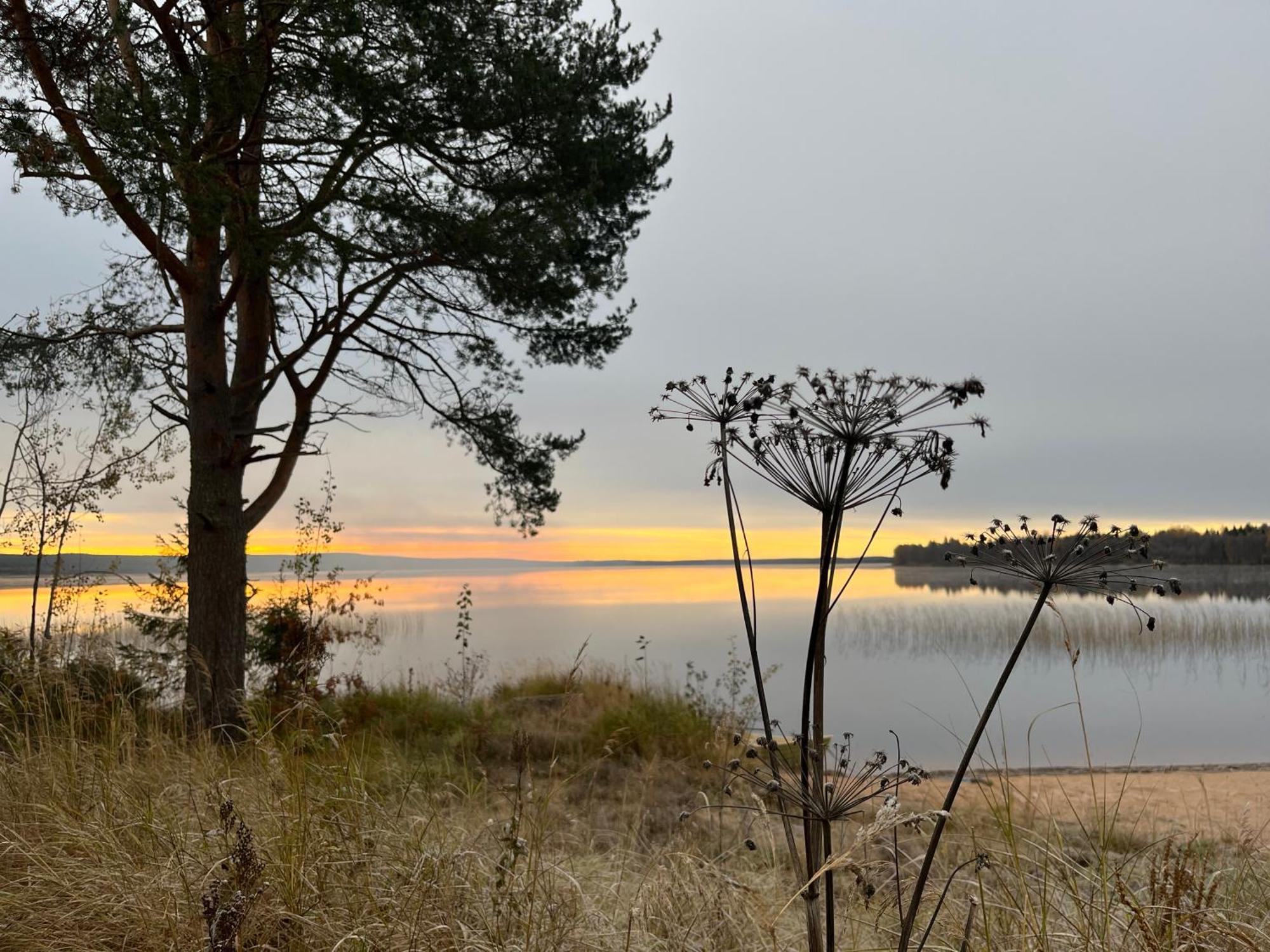 Ahosen Lomamoekit Villa Vikajarvi ภายนอก รูปภาพ