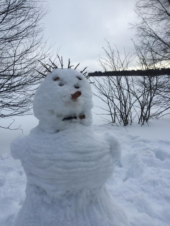 Ahosen Lomamoekit Villa Vikajarvi ภายนอก รูปภาพ