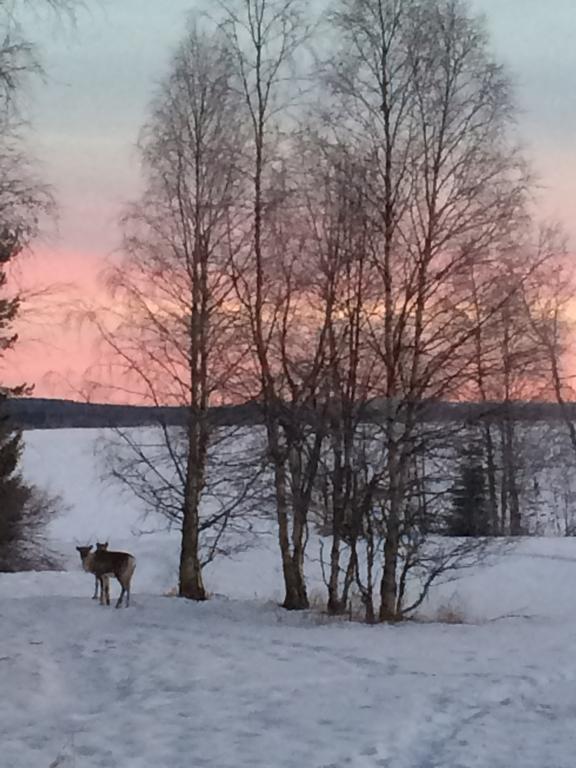 Ahosen Lomamoekit Villa Vikajarvi ภายนอก รูปภาพ